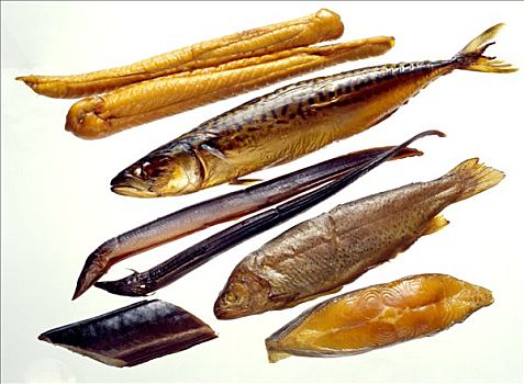 烟熏鱼,鲭,鳗鱼,鲑鱼