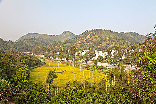 乡村,山河村,村庄,农田