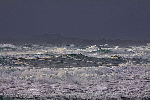 大,猛烈,危险,波浪,环太平洋国家公园,温哥华岛,不列颠哥伦比亚省