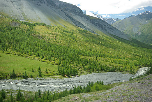 山景,高地,山峰,峡谷,山谷,石头,斜坡