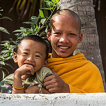 头像,孩子,僧侣,拿着,男孩,琅勃拉邦,省,老挝
