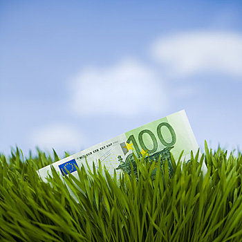 100欧元,钞票,草
