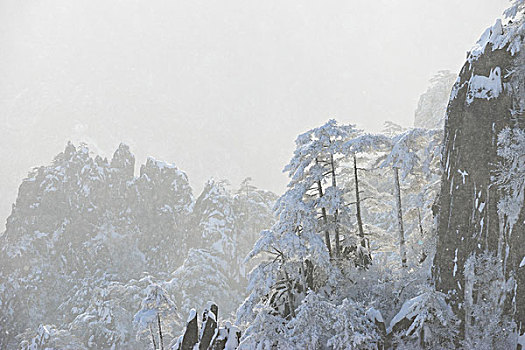 雪景,黄山,山,冬天