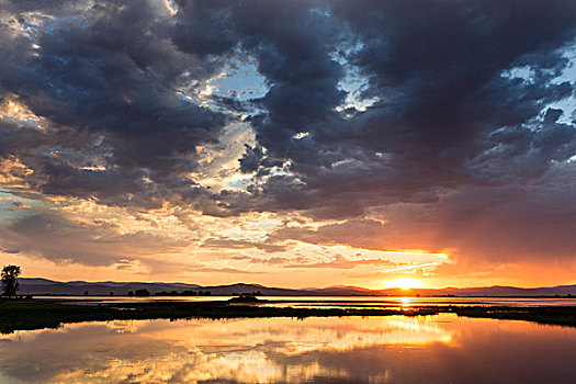 日落,上方,湿地,靠近,蒙大拿,美国