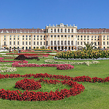 美泉宫,花,床,维也纳,奥地利,欧洲