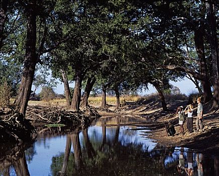 赞比亚,南卢安瓜国家公园,旅游,群体,引导,走,停止,日光,泻湖