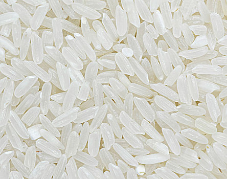 稻米