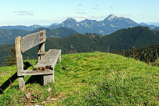 长椅,山地牧场,山,山脉,背影,上巴伐利亚,德国,欧洲