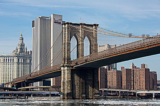 风景,天际线,曼哈顿,布鲁克林大桥,公园,纽约