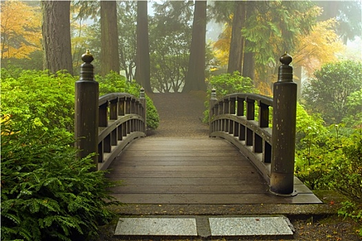 木桥,日式庭园,秋天