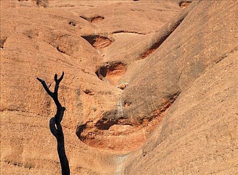 岩石构造,水,小路,奥尔加,卡塔曲塔国家公园,北领地州,澳大利亚