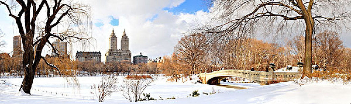 纽约,曼哈顿,中央公园,全景,冬天