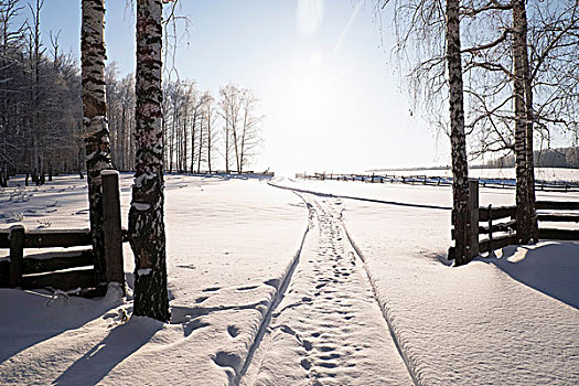 积雪,风景,脚印,轨迹,入口,俄罗斯