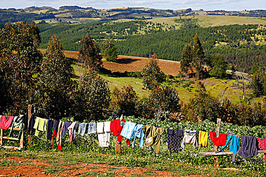 洗衣服,弄干,陆地,农业,风景,区域,智利,南美