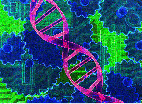 dna链,齿轮,电路板
