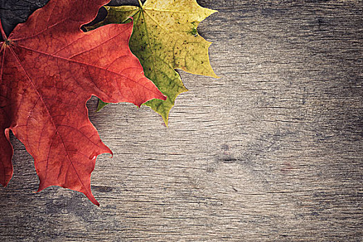 秋天,枫叶,木桌,背景