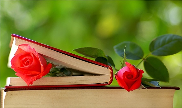 两个,玫瑰,书本