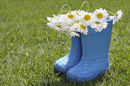 花,胶靴,草地
