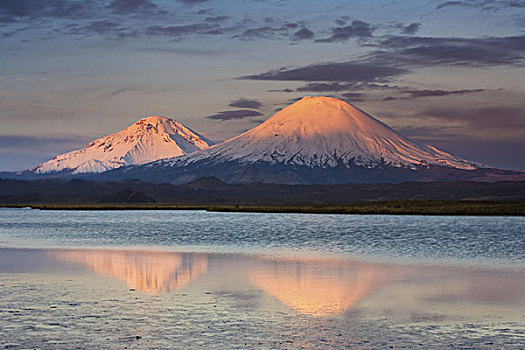 火山,相似,相互,站立,20多岁,脚,高,风景,安第斯山,国家公园,智利