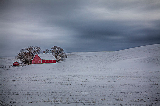 美国,爱达荷,老,红色,谷仓,初雪