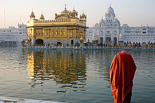 印度,金庙,女人,祈祷,庙宇