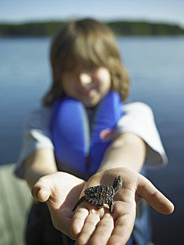 男孩,抱孩子,鳄龟,阿尔冈金公园,安大略省,加拿大