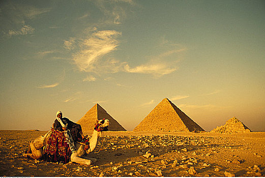 人,骆驼,吉萨金字塔,开罗,埃及