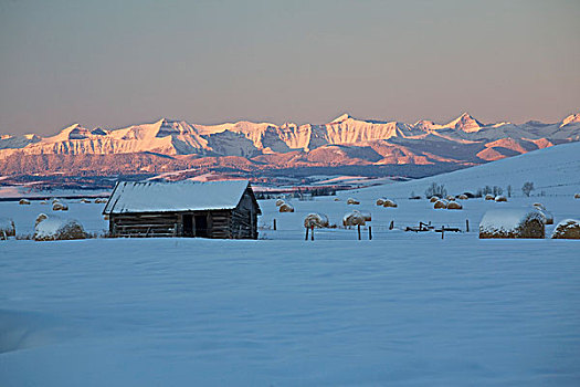 积雪,木屋,干草包,土地,光亮,山峦,艾伯塔省,加拿大