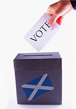 苏格兰人,投票