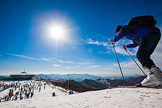 俯冲,背影,滑雪者