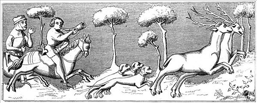 猎捕,鹿,狗,14世纪