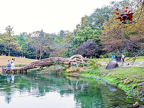 浙江省杭州西湖风景名胜区－太子湾公园