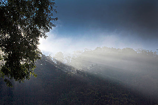 阳光,透射,光柱,山坡,植被,自然,风光,云雾
