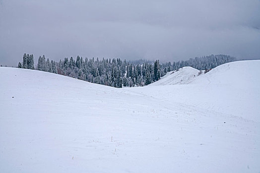冬季草原牧区