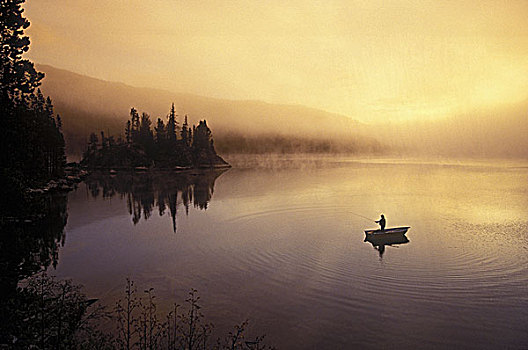 钓鱼,飞钓,小,湖,不列颠哥伦比亚省,加拿大