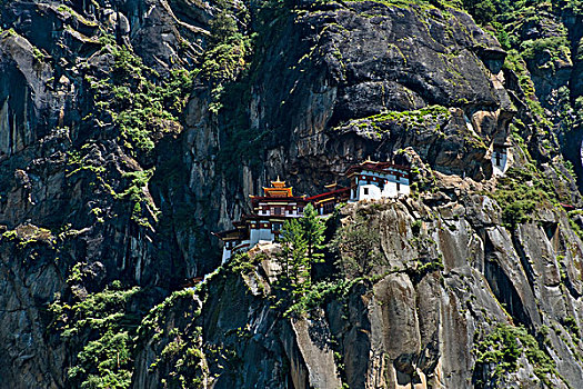 窝,寺院,悬崖,不丹