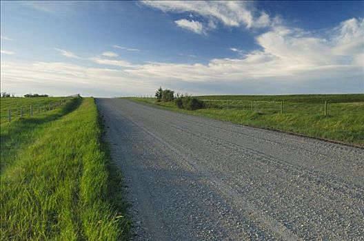 乡间小路,西部,卡尔加里,艾伯塔省,加拿大