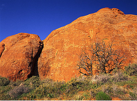 沙岩构造,叶子,峡谷地国家公园,犹他,美国