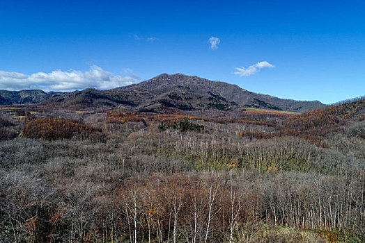 航拍,晚秋,北海道,日本