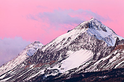 顶峰,小狗,山,抓住,早晨,黎明,冰川国家公园,蒙大拿,美国