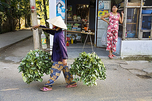 人,蔬菜,棍,越南