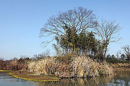 西溪湿地