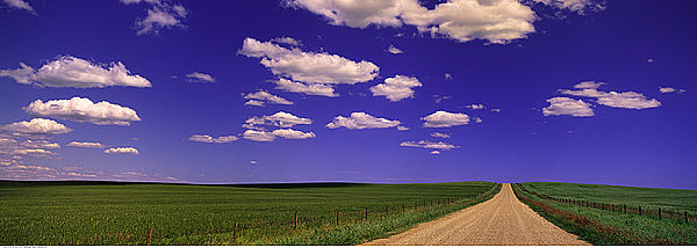 土路,风景,天空,艾伯塔省,加拿大