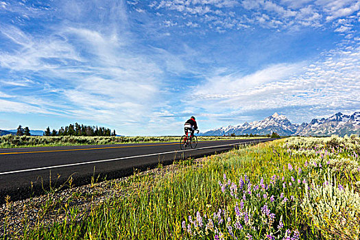 道路,骑自行车,踏板,空路,大台顿国家公园,怀俄明,美国