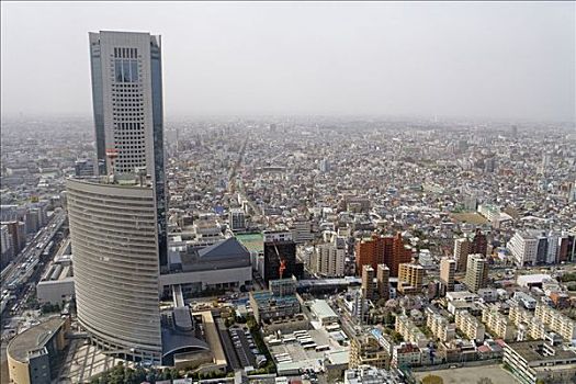 城市,东京,日本,俯视,远景