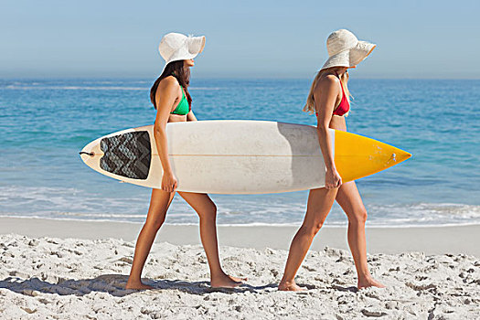 两个,魅力,女人,比基尼,拿着,冲浪板,海滩