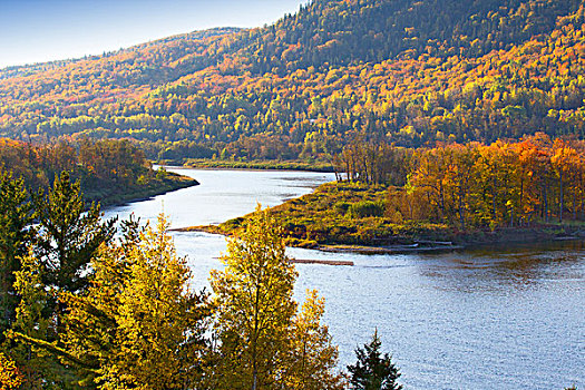 河,秋天,魁北克,加拿大