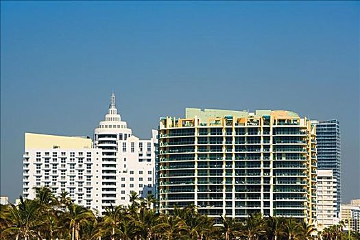 棕榈树,正面,多层,建筑,迈阿密,佛罗里达,美国