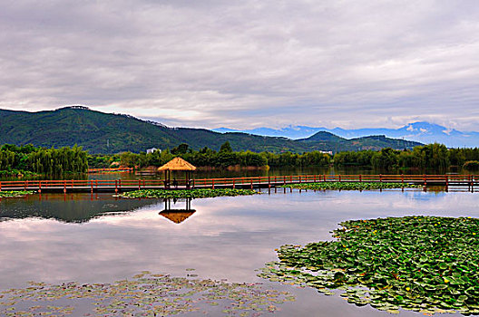 琼海湿地公园