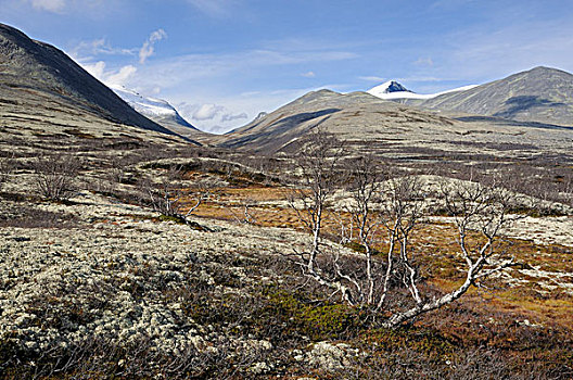 风景,正面,积雪,山峦,国家公园,挪威,欧洲